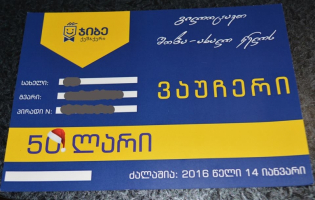 50 ლარიანი ვაუჩერები მრავალშვილიან ოჯახებს