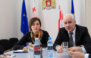 ,,დანერგე მომავლის" განხილვა გუბერნატორთან