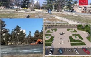 გაჩეხილი ნაძვების გვერდით სკვერს აკეთებენ