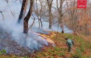 ჯავის შემდეგ ხანძრის კერები გაჩნდა ახალგორის  რაიონშიც
