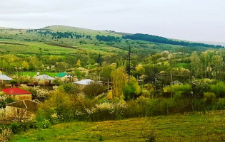 გამყოფ ხაზთან მდებარე სოფელ აბანოში მაღალი ძაბვის ელექტროსადენის გადატანას ითხოვენ