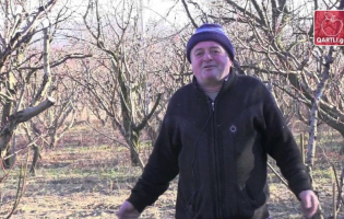 სავიზო ლიბერალიზაცია გამყოფ ხაზთან - გამოკითხვა