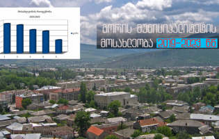 გორის მუნიციპალიტეტში მოსახლეობის რაოდენობა ყოველწლიურად კლებულობს