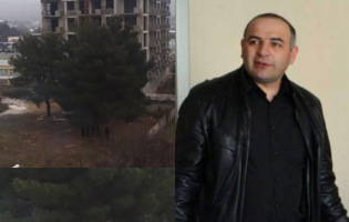 გორში ნაძვის ხეებს ყოფილი ვიცე-მერის კომპანია ჭრის