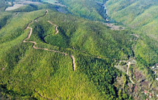 ,,ტყიდან ხმები ისმის" - ჩორჩანა-წნელისს შორის საოკუპაციო ძალების წარმომადგენლები ისევ მუშაობენ