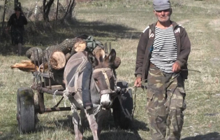 Божамæгтæ  сæхи цæттæ кæнынц зымæгмæ 