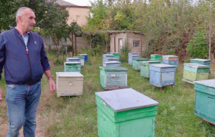 В Хурвалети с помощью Евросоюза Сосо Хурошвили производит гречишный мед (VIDEO)