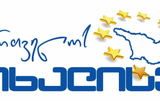 სპორტის სამინისტრო რეგიონებში ,,საქართველოს მოხალისეებს" ეძებს
