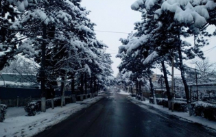 თოვლიანი ხაშური (PHOTO)