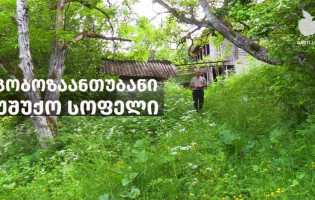 გობოზაანთუბანი – უშუქო სოფელი