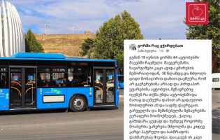 შსს უარყოფს ავტობუსის მძღოლზე თავდასხმის ფაქტს