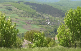 ატოცელების მოთხოვნა არ გაითვალისწინეს