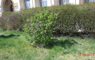 გარე რეკლამის განსათავსებლად ქალაქ გორში 8 ადგილი 30 წლით გაიყიდა