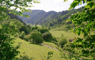 საცხენოსნო ტური ატენის ხეობაში