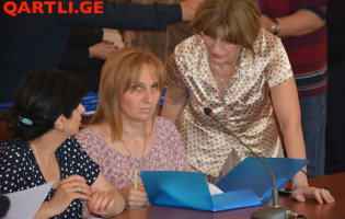 გორის რაიონის საკრებულომ ბაღების გაერთიანებას მხარი დაუჭირა