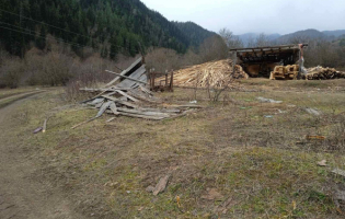 აღმოსავლეთ საქართველოში 10 სახერხ საამქროში დარღვევები გამოავლინეს