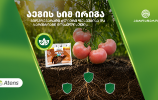 როგორ გავაძლიეროთ მცენარის ფესვთა სისტემა „აეგის სიმ ირიგას“ დახმარებით