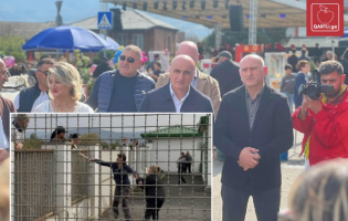გუბერნატორი გორის ცხოველთა თავშესაფარში არსებულ მძიმე ვითარებას კანონიერს უწოდებს