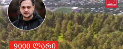 მუნიციპალიტეტმა სახალხო დღესასწაულისთვის კონტრაქტორთან ხელშეკრულება
უკვე გააფორმა. დოკუმენტში მუსიკოსის მიმართ სპეციფიკური
კრიტერიუმებია გაწერილი, ღონისძიება კი გადათხრილი ქუჩების გამო
ქალაქის ნაცვლად ტყეში გაიმართება.