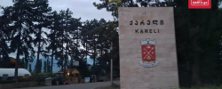 ქარელში ერთ წელიწადში საკვებით მოწამვლის 601 შემთხვევა დაფიქსირდა