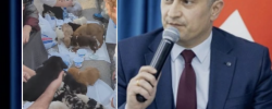 გორის მესამე საჯარო სკოლის დირექტორი, ვახტანგ სუხიტაშვილი მიუსაფარ
ცხოველთა თავშესაფრის ხელმძღვანელის მხარდამჭერ კამპანიას შეუერთდა.