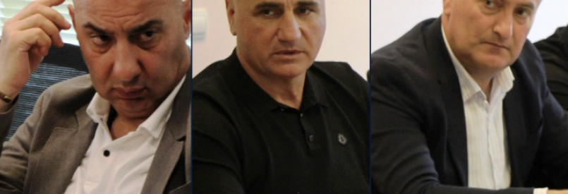 შიდა ქართლის მერების ფინანსური დეკლარაციები