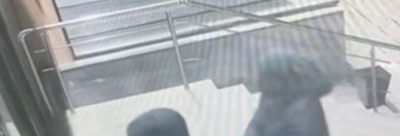 ხაშურში "ელიტ-ელექტრონიქსი"-ს მღაზიიდან 10 ლეპტოპი მოიპარეს