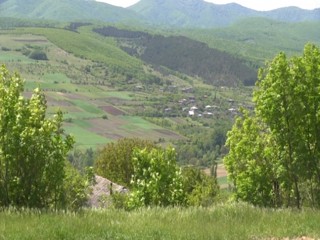 ატოცელების მოთხოვნა არ გაითვალისწინეს