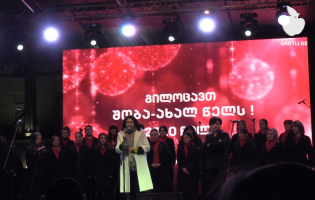 გორში პრეზიდენტის ნაძვის ხის ზეიმი პროტესტის ფონზე წარიმართა