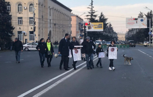 ,,ბიძინას მონა" - გორში სალომე ზურაბიშვილს ,,ენმ"-ს წევრებმა აქცია მოუწყეს
