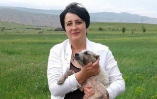 გორის მიუსაფარი ძაღლების თავშესაფრის დირექტორი ,,გორმედის" მონაცემებს არ ეთანხმება