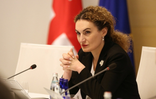 ოკუპაციის თემა განიხილეს კონფერენციაზე ,,ნატო-ს ღია კარის პოლიტიკა ნატო-ს სამიტის შემდეგ"