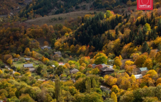 დარჩა 5 დღე - საგრანტო კონკურსის დასრულებამდე - დაფინანსდება 48 ადამიანი