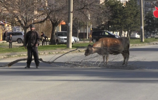 1-თვიანი უდენობის გამო მამაკაცმა გორში გზა გადაკეტა