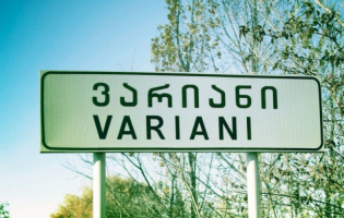 ვარიანის მოძღვარი მისი ნაგაზის მიერ ძაღლის დაგლეჯვის მორიგ ფაქტს უარყოფს