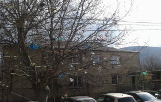 სასამართლოს ხე მოსამართლეების მანქანების პარკინგთან (PHOTO)