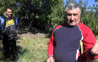 მეფუტკრეები და ფუტკარი გამყოფ ხაზზე