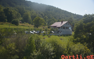 ბიზნესმენის აგარაკზე ჩინოვნიკების ქეიფი და პროტესტი გზაზე