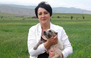 მინდორში ოჯახისგან მიტოვებული ძაღლი სამკურნალოდ თავშესაფარში გადაიყვანეს