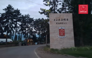 მოწამვლის შემთხვევების მაღალი რიცხვი ქარელში