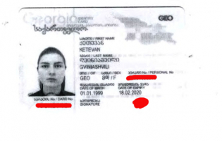 18-წლის ქეთევან ღვინიაშვილი გორში მილიონიანი ინვესტიციის განხორციელებას გეგმავს