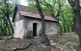 ცხინვალი ,,ლომისობასთან