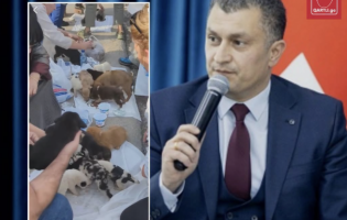 სკანდალის ფონზე გორის მესამე სკოლის დირექტორი თავშესაფრის ხელმძღვანელს იცავს