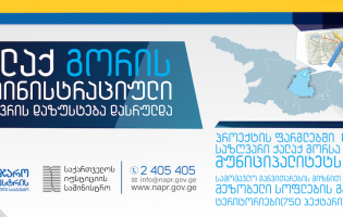 ქალაქ გორის ადმინისტრაციული საზღვრის დაზუსტება დასრულდა