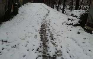 გორის მუნიციპალიტეტის რამდენიმე სოფელში თოვლი მოვიდა