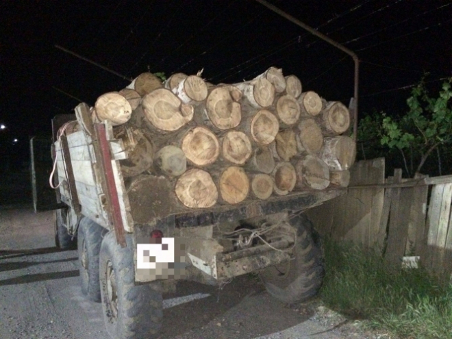ატენში ხე-ტყით დატვირთული მანქანა გაჩერებული ნახეს